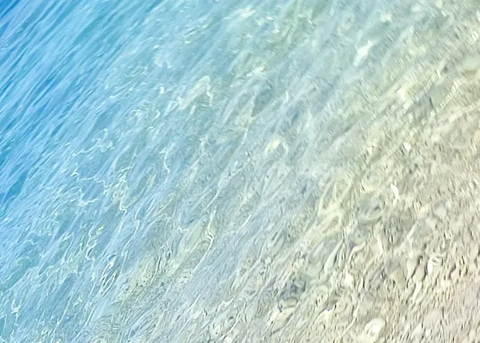 Agava Mokalo Оребич