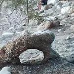 Agava Mokalo Διαμέρισμα Orebić