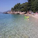 Agava Mokalo *