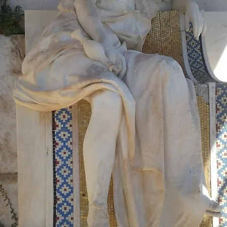 Agava Mokalo Orebić